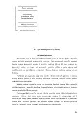 Mokesčių reikšmė, turinys, kultūra, sistemos ir įvairovė 13 puslapis