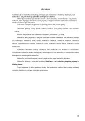 Mokesčių reikšmė, turinys, kultūra, sistemos ir įvairovė 18 puslapis