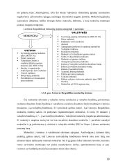 Mokesčių reikšmė, turinys, kultūra, sistemos ir įvairovė 9 puslapis