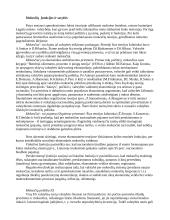 Mokesčiai, jų sistema ES 2 puslapis