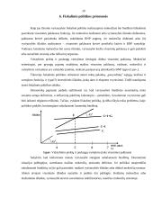 Mokesčiai kaip priemonė šalies ūkio subjektų pajamoms perskirstyti 18 puslapis