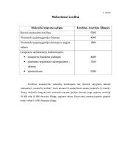 Mokesčiai Lietuvoje ir Austrijoje 11 puslapis