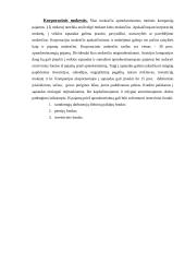 Mokesčiai Lietuvoje ir Austrijoje 12 puslapis