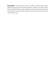 Mokesčiai Lietuvoje ir Austrijoje 17 puslapis