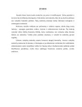 Mokesčiai Lietuvoje ir Austrijoje 3 puslapis