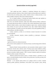 Mokesčiai Lietuvoje ir Austrijoje 5 puslapis