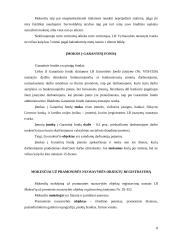 Mokesčiai, kuriuos moka verslininkai 8 puslapis