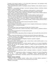 Mokesčių politika Lietuvoje 7 puslapis