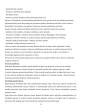 Mokesčių sistema ir jos pokyčiai Lietuvoje 12 puslapis