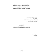 Mokestinės nepriemokos samprata