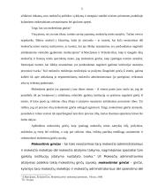 Mokestinių ginčų nagrinėjimo procesas 5 puslapis