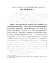 Mokestinių ginčų nagrinėjimo procesas 7 puslapis