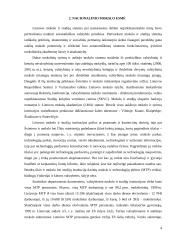 Mokslo globalizacija XXI amžiuje 4 puslapis