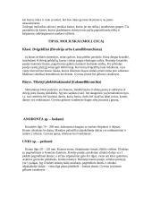 Pagrindinės žinios apie moliuskus 3 puslapis