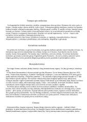 Moliuskai, moliuskų tipai 2 puslapis