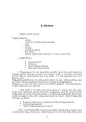 Monetarinė politika ir pinigų istorija 11 puslapis