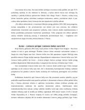 Monetarinės politikos reiškinys 15 puslapis