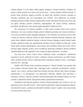 Monetarinės politikos reiškinys 20 puslapis