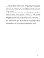 Monetarinės politikos reiškinys 10 puslapis