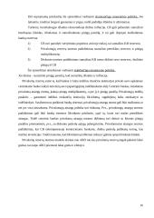 Monetarinės politikos priemonės 15 puslapis