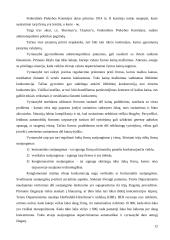 Monopolijos atsiradimo priežastys 12 puslapis