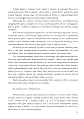 Monopolijos atsiradimo priežastys 13 puslapis