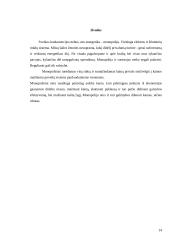 Monopolijos 14 puslapis