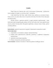 Monopolijos samprata 2 puslapis