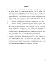 Monopolijos samprata 11 puslapis