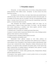 Monopolijos samprata 3 puslapis