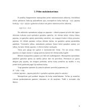 Monopolijos samprata 5 puslapis