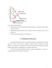 Monopolijos samprata 6 puslapis
