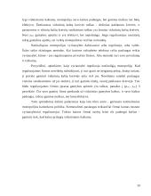 Monopolijos samprata 9 puslapis