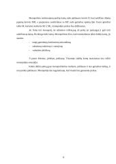 Monopolijos formavimosi ypatybės bei pelno maksimizavimas 6 puslapis