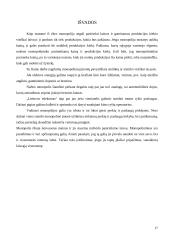 Monopolija ir rinkos monopolizavimo veiksniai 17 puslapis