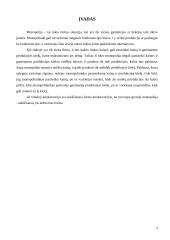 Monopolija ir rinkos monopolizavimo veiksniai 3 puslapis