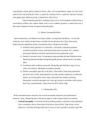 Monopolijos Lietuvoje. Antimonopolinės ir antikorupcinės politikos įgyvendinimas Lietuvoje 4 puslapis