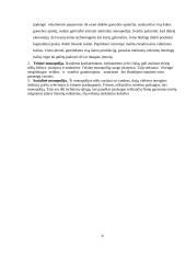 Monopolijos Lietuvoje. Antimonopolinės ir antikorupcinės politikos įgyvendinimas Lietuvoje 5 puslapis
