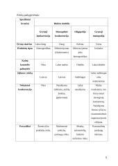 Monopolinė konkurencija 3 puslapis