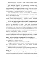 Monopolinė konkurencija 6 puslapis