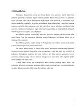 Monopolinė konkurencija. Pusiausvyra. Ekonominis pelnas. Ribiniai kaštai 7 puslapis