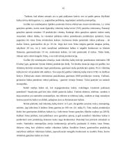 Monopolinė rinka ir jos bruožai 11 puslapis