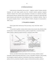 Monopolinė rinka ir jos bruožai 9 puslapis