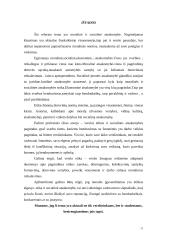 Moralinė ir socialinė atsakomybė 11 puslapis