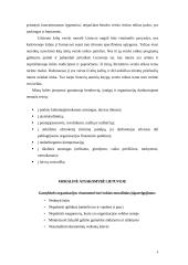 Moralinė ir socialinė atsakomybė 4 puslapis