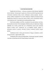 Moralinė ir socialinė atsakomybė 10 puslapis