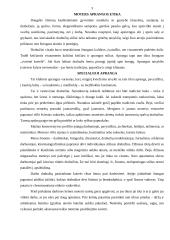 Moters aprangos etika 3 puslapis