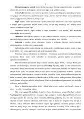 Moters aprangos etika 6 puslapis