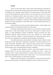 Moters įvaizdis 4 puslapis