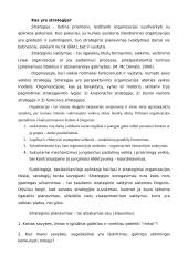 Moters karjeros strategija ir taktika 3 puslapis